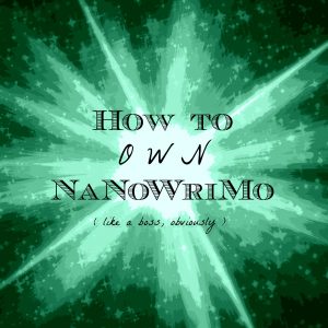 How to OWN NaNoWriMo